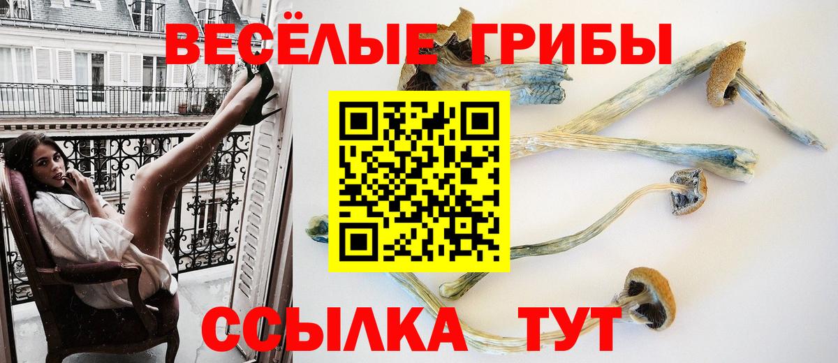 Псилоцибиновые грибы Psilocybine cubensis Ирбит