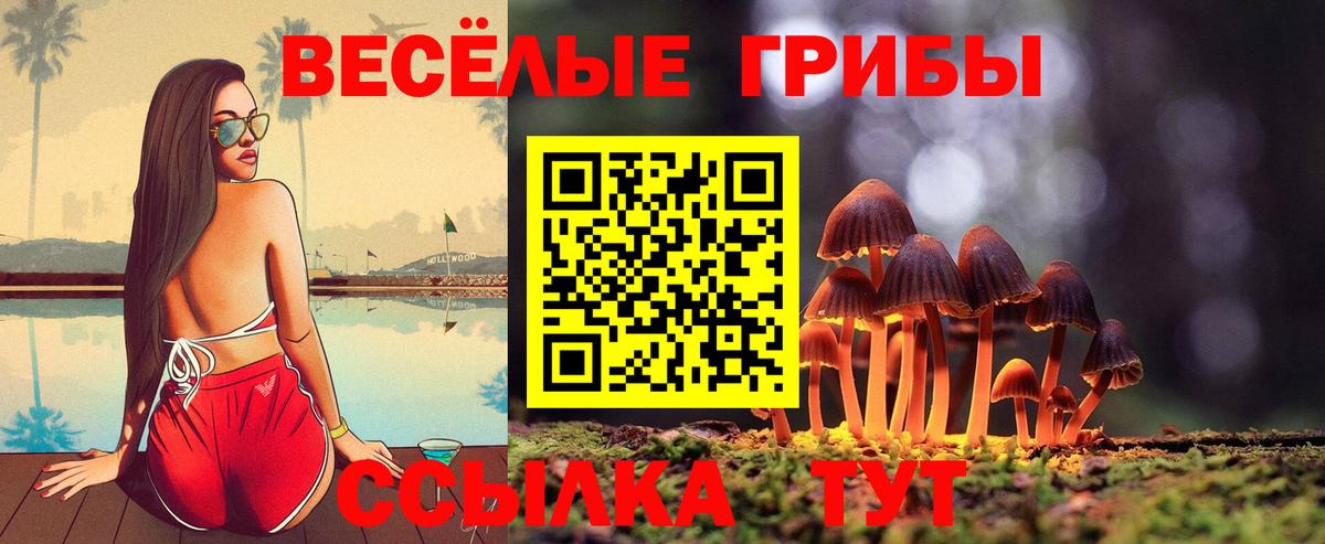 Ирбит  Псилоцибиновые грибы Psilocybine cubensis  Вход с VPN 